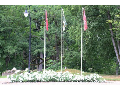 Miestų ir miestelių vėliavos - Gelgaudiškio miestelio vėliava